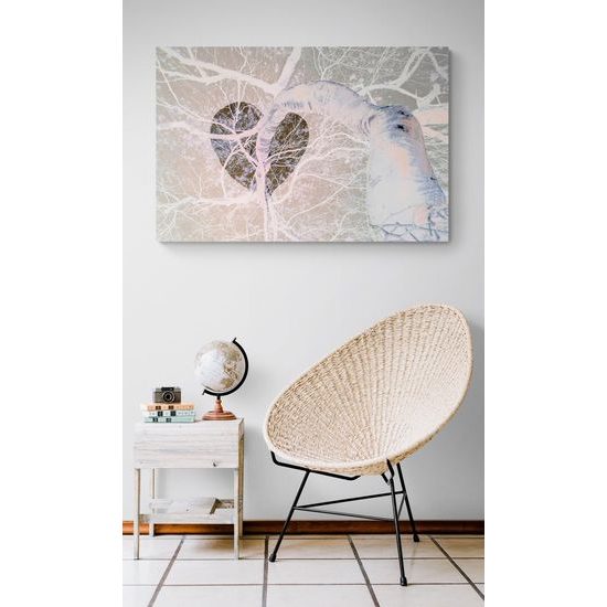 Kép befagyott nyírfa