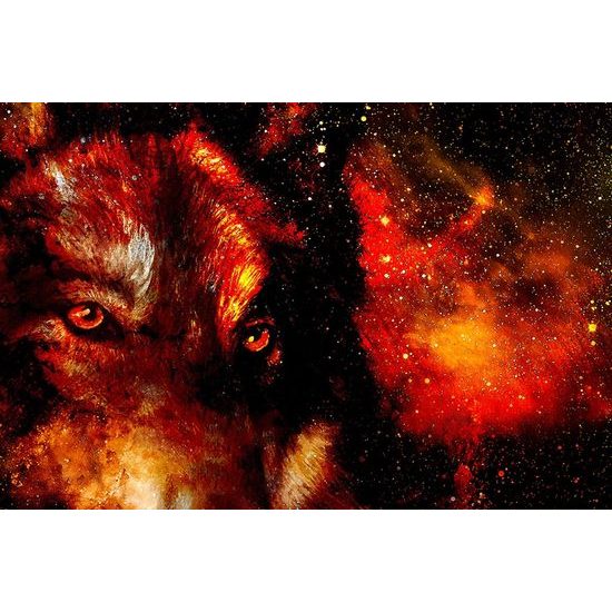 Öntapadó tapéta egy farkas