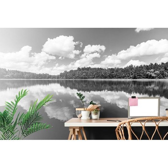 Eredeti fekete-fehér öntapadó fotótapéta nyári természet