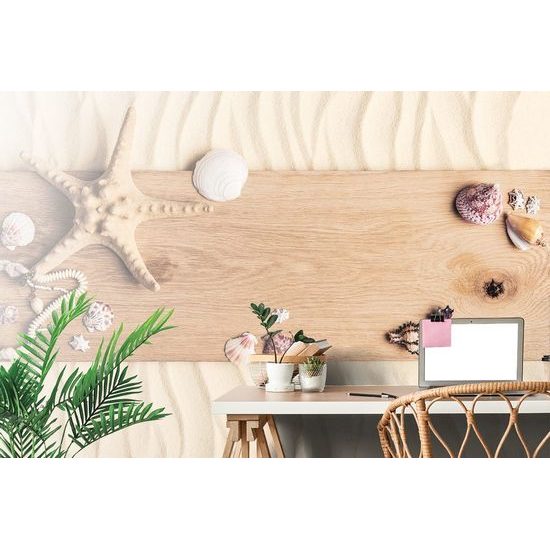 Öntapadó tapéta tengeri kagyló egy fából készült háttéren