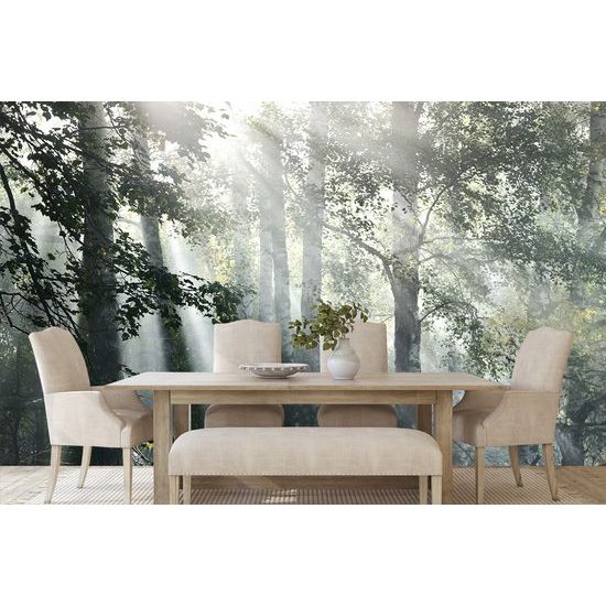 Öntapadó fotótapéta napsugarak az erdőben