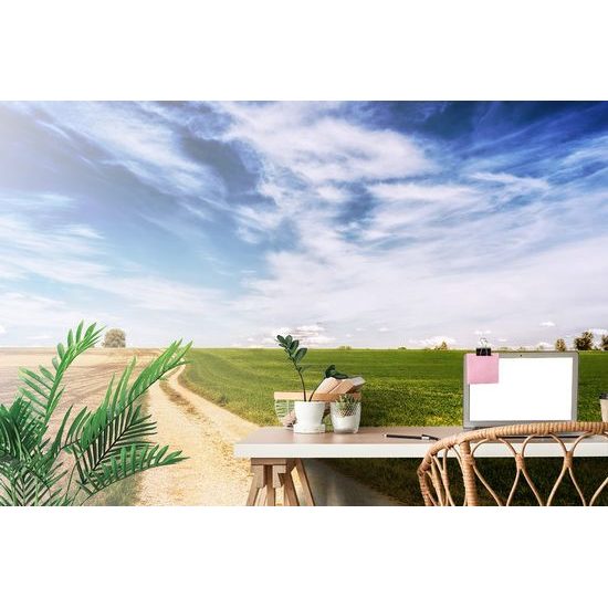 Öntapadó fotótapéta út a tavaszi tájon