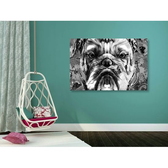 Kép mérges bulldog fekete-fehér kivitelben