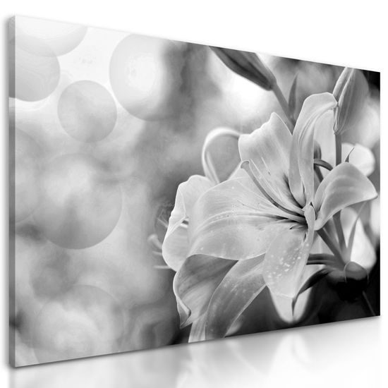 Kép lágy liliom fekete-fehér kivitelben