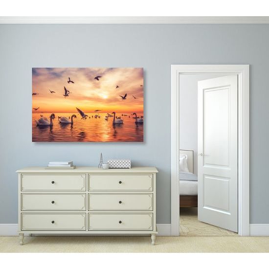 Kép hattyúk tengere