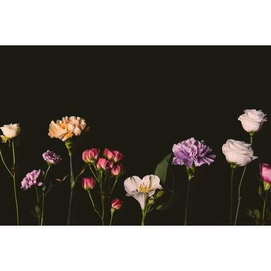 Öntapadó fotótapéta különböző virágok sötét háttér előtt