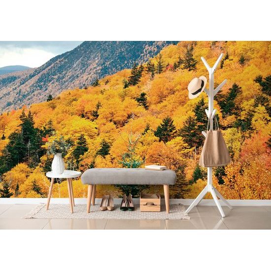 Gyönyörű természet öntapadó fotótapéta őszi színekben