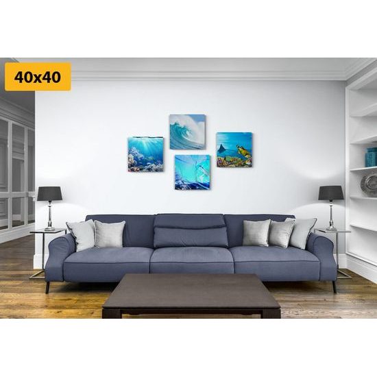 Képszett tengeri élet