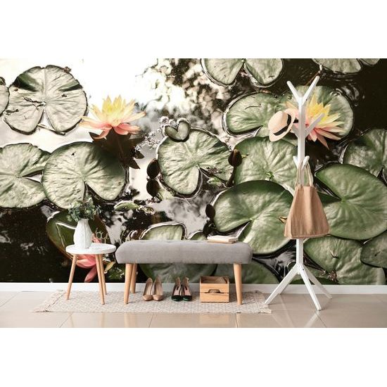 Fotótapéta tó lótuszvirággal