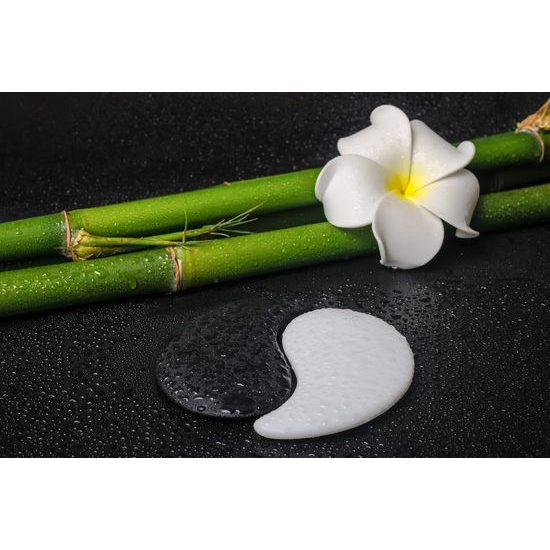 Kép csodálatos bambusz csendélet Jin és Jang szimbólummal