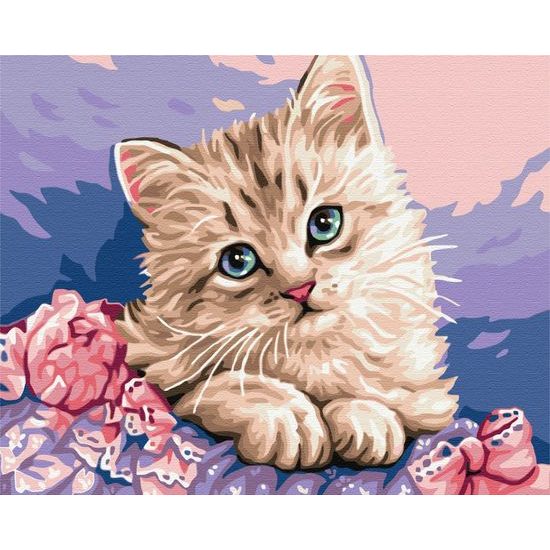 Festés számok szerint aranyos cica