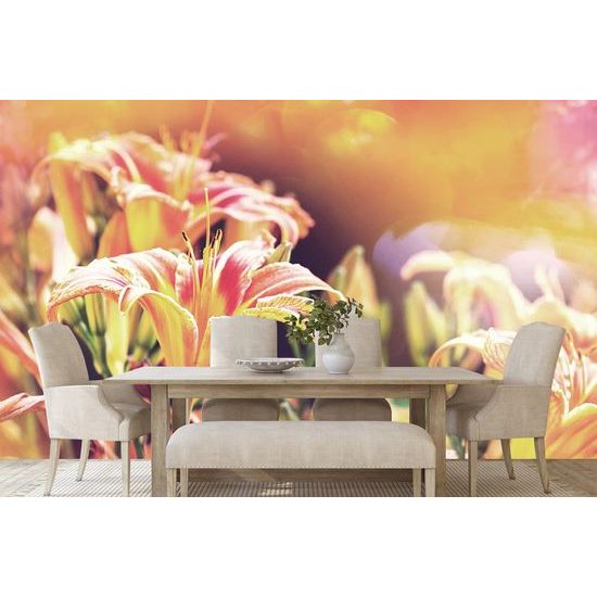 Gyönyörű narancssárga virágos fotótapéta