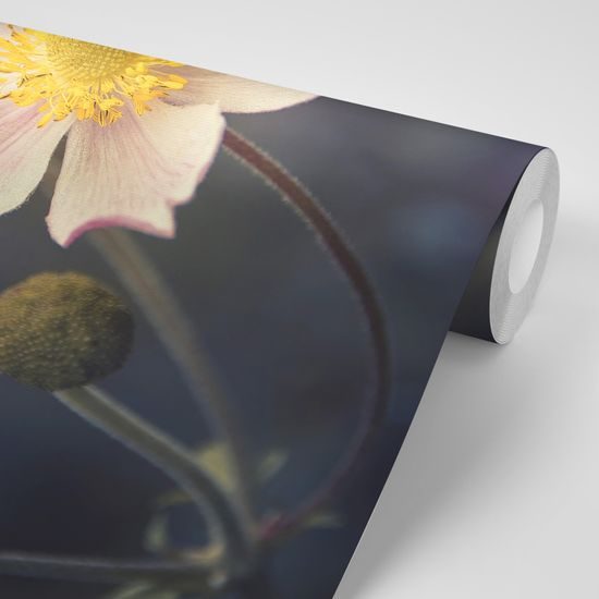 Öntapadó fotótapéta a virág finomsága