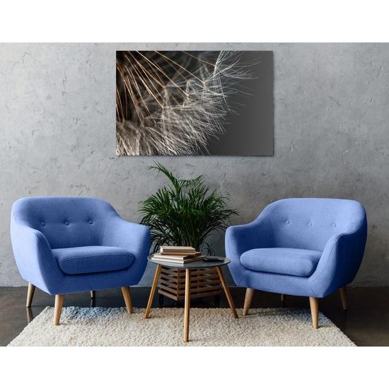 Kép pitypang részletei