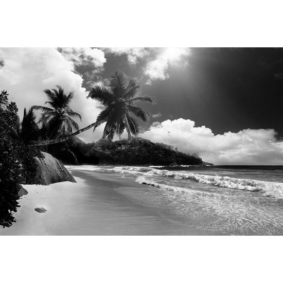 Fotótapéta gyönyörű Seychelle-szigetek fekete-fehérben