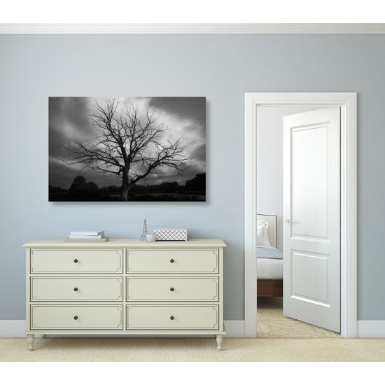 Kép fa csodálatos háttérrel fekete-fehér kivitelben