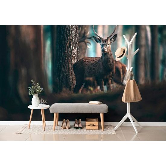 Öntapadó fotótapéta találkozás egy szarvassal