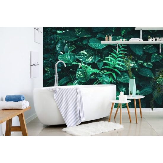 Öntapadó fotótapéta sarok levelekkel