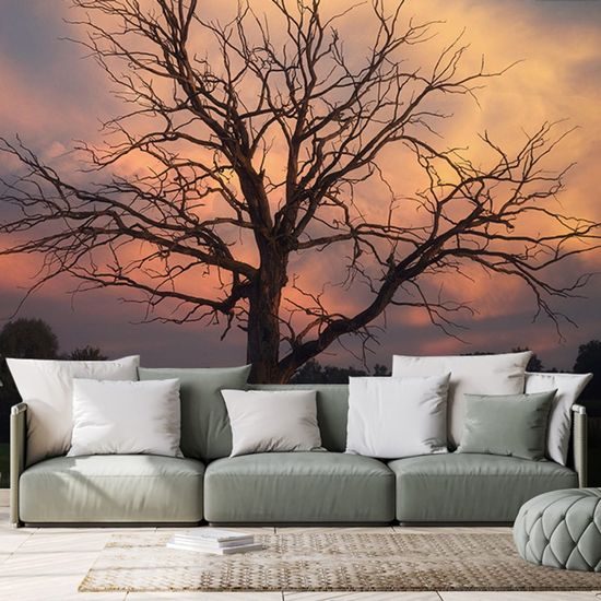 Fotótapeta a természet szépsége