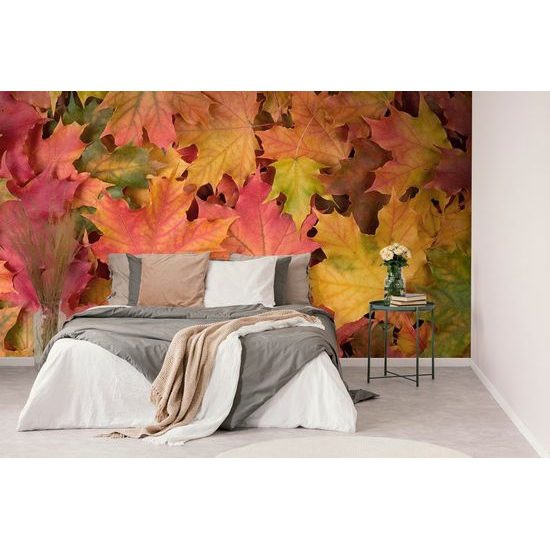 Érdekes öntapadó fotótapéta őszi levelek
