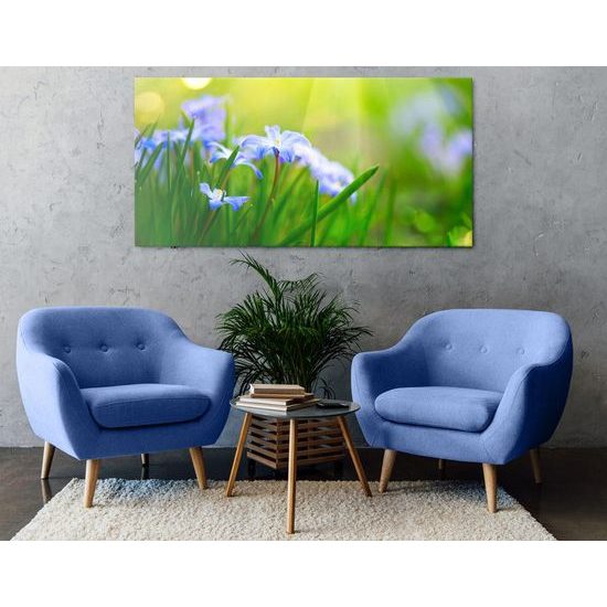 Kép réti virágok a zöld füvön