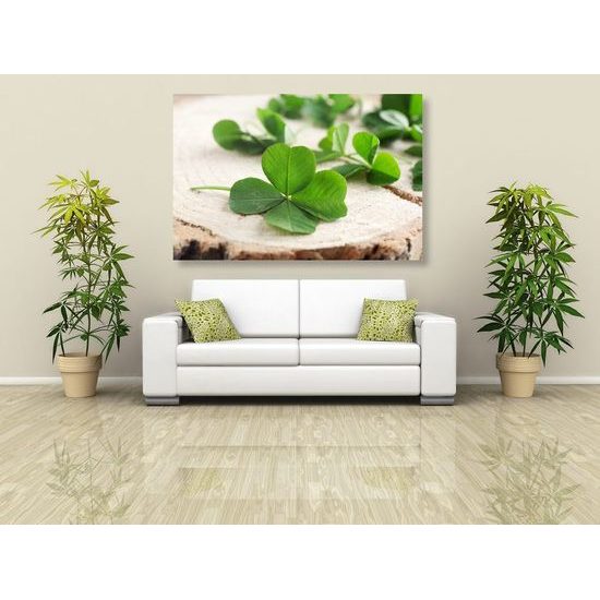 Kép szerencsehozó négylevelű lóherék