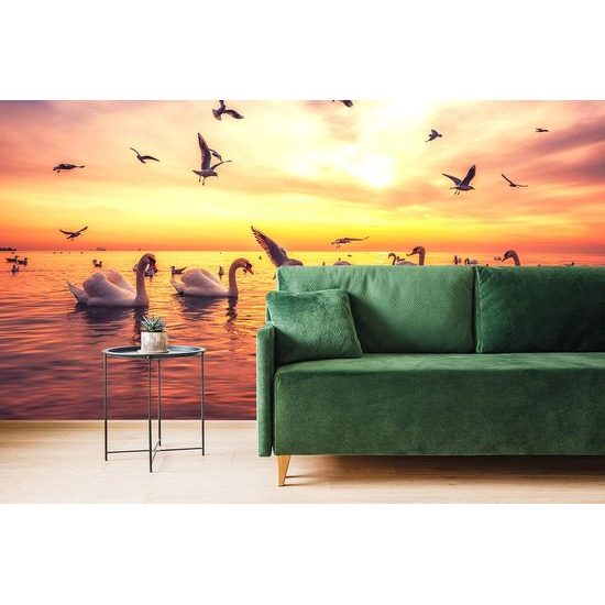 Öntapadó fotótapéta kecses hattyúk naplementekor