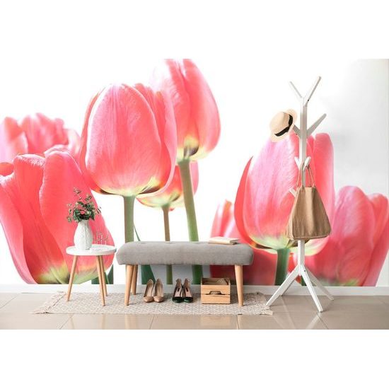 Öntapadó fotótapéta elegáns tulipán