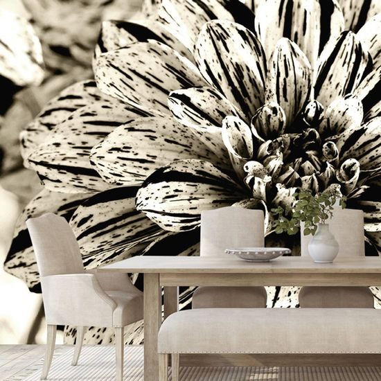 Eredeti öntapadó fotótapéta lenyűgöző dahlia szépia változatban