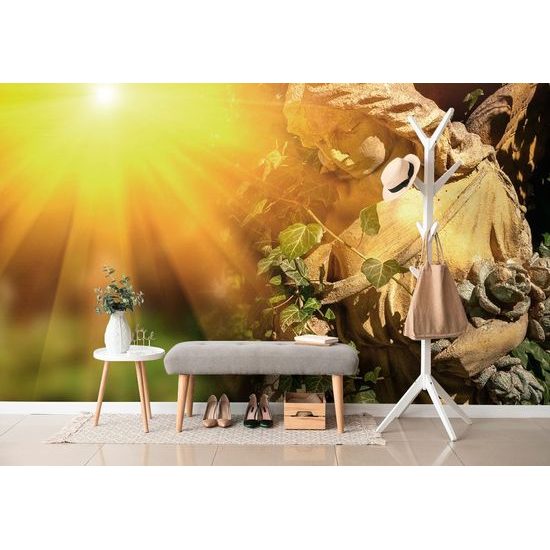 Öntapadó fotótapéta angyal a nap ragyogásában