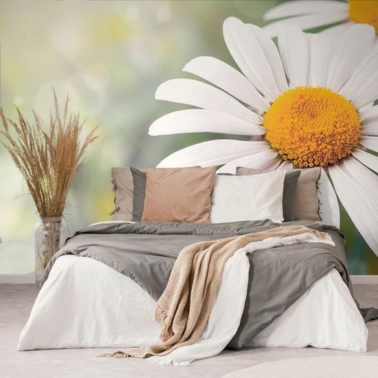 Öntapadó fotótapéta réti virág százszorszép