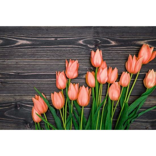 Fotótapéta narancssárga tulipánok fa háttéren