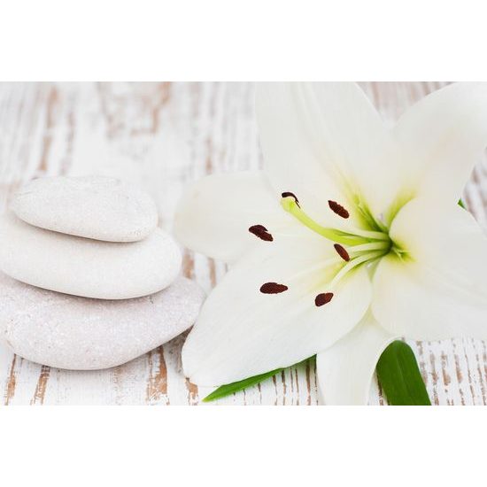 Kép Feng Shui csendélet