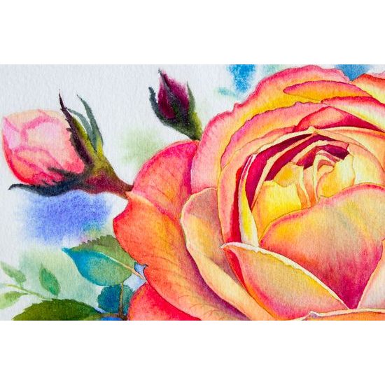 Kép csodálatos vintage rózsák