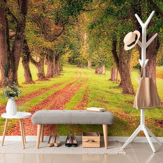 Öntapadó tapéta út az őszi fák között