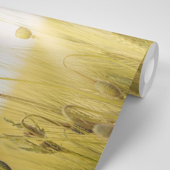 Öntapadó fotótapéta a pipacs élete