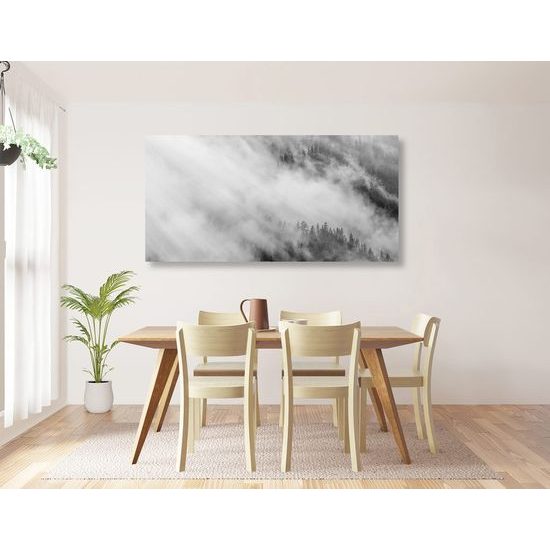 Kép köd az erdő felett fekete-fehér kivitelben