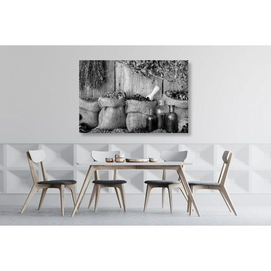 Kép mezei gyógynövények fekete-fehér kivitelben