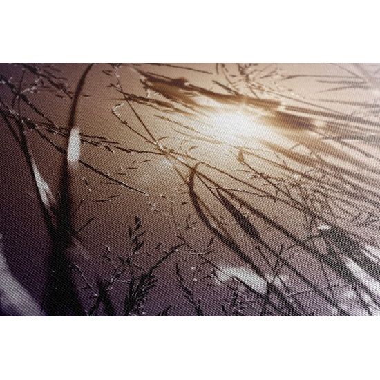 Kép rét művészi kivitelben