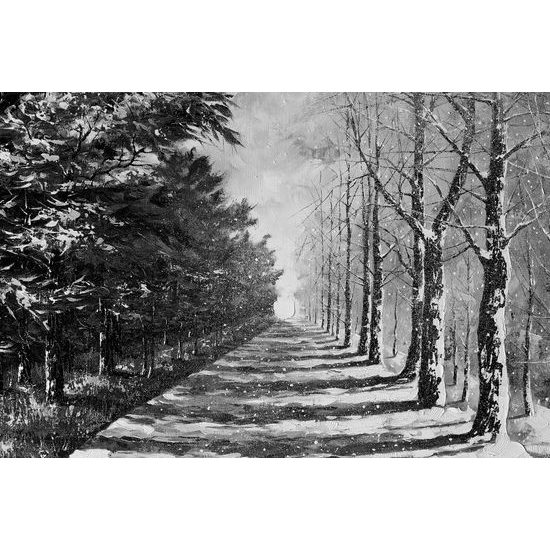 Kép havas sugárút fekete-fehér kivitelben