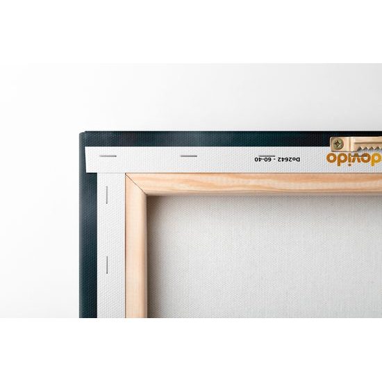 Kép állati gengszter majom