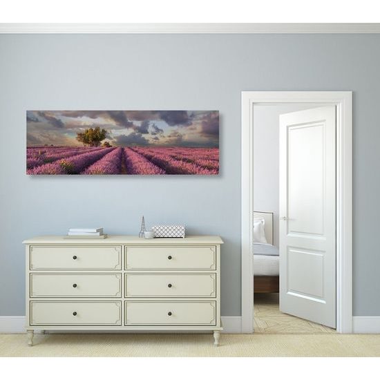Kép végtelen levendula mező