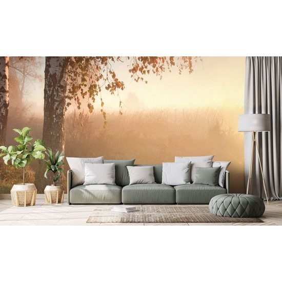 Ködös reggel öntapadó tapéta