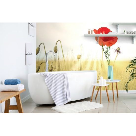 Öntapadó fotótapéta a pipacs élete