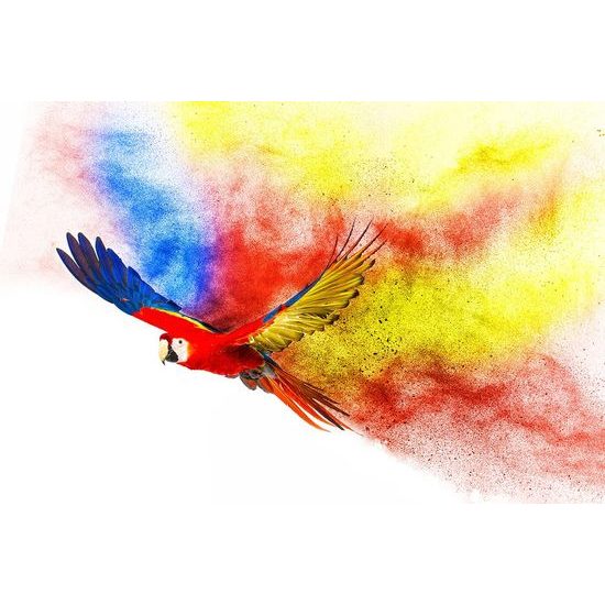 Színes repülő papagáj öntapadó tapéta