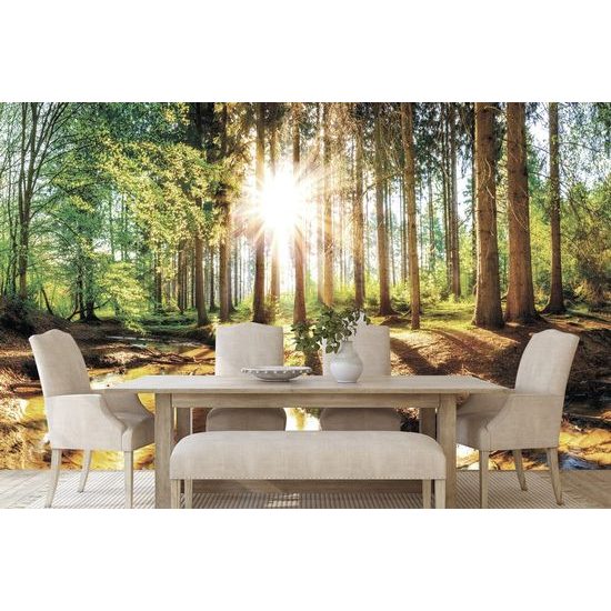 Fotótapéta az ébredező erdő