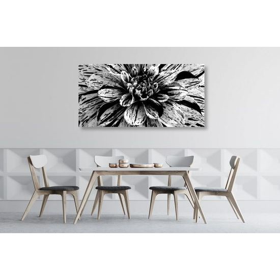 Kép hatalmas dália fekete-fehér kivitelben