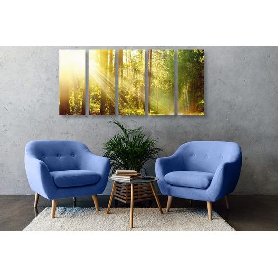 5 részes kép utacska az erdőben