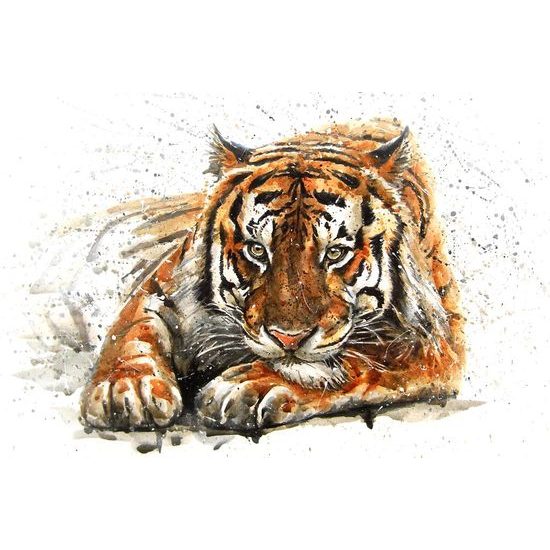 Tapéta festmény egy bengáli tigrisről