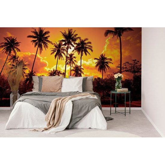 Öntapadó tapéta kókuszfák a napban